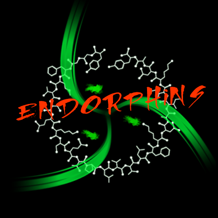 logo Endrphins Night